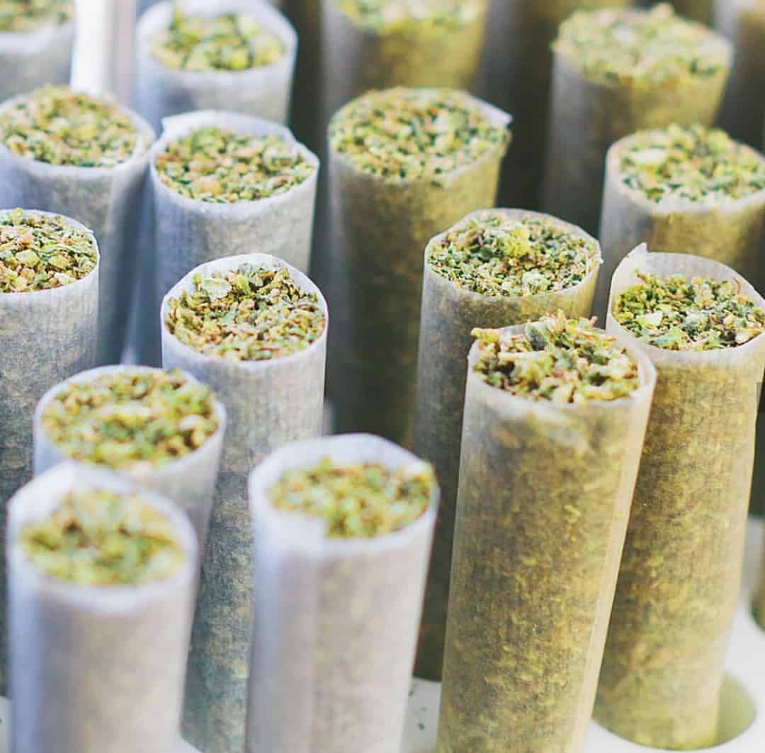 Pre Rolled Cones - Cannasupplies